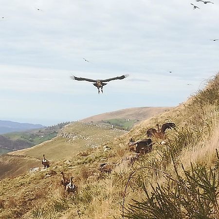 La Pasiega San Roque de Ríomiera Exteriér fotografie