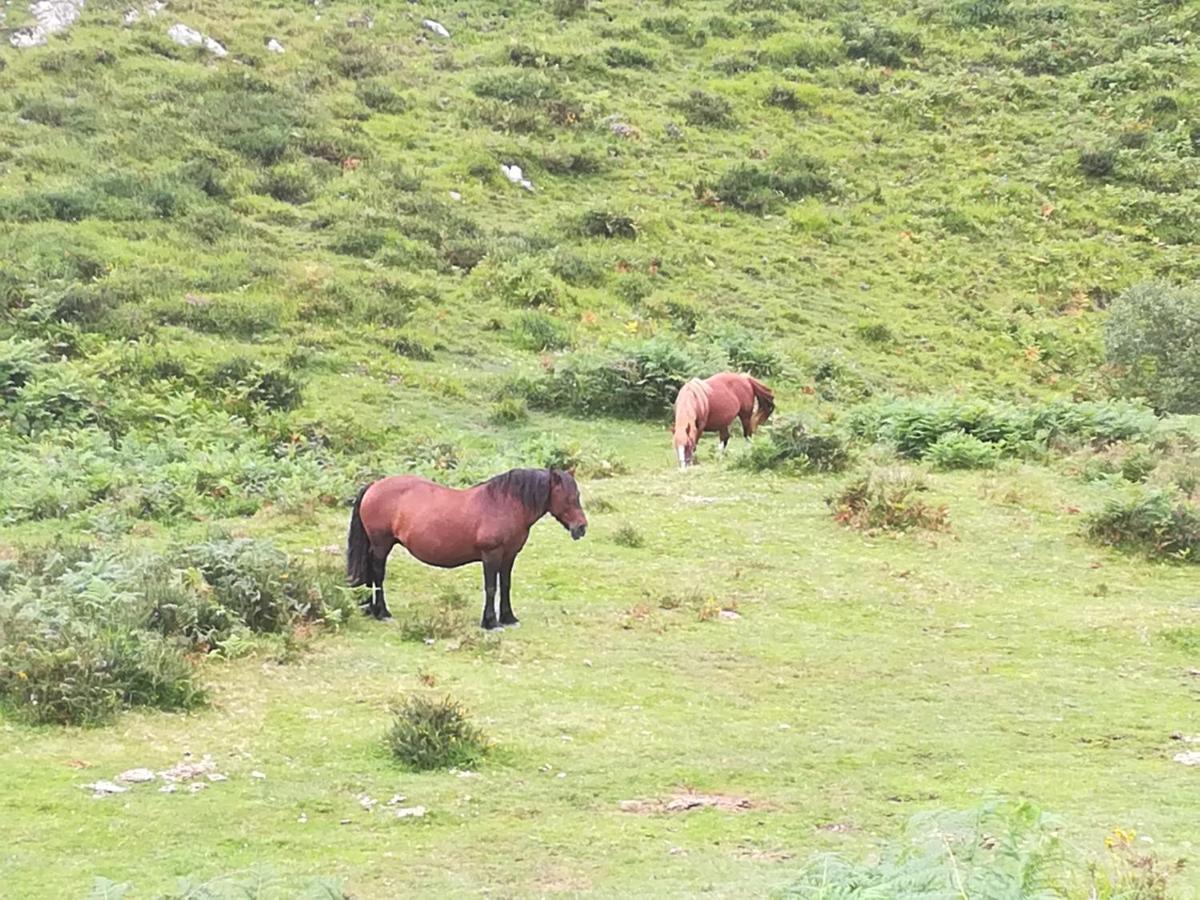 La Pasiega San Roque de Ríomiera Exteriér fotografie