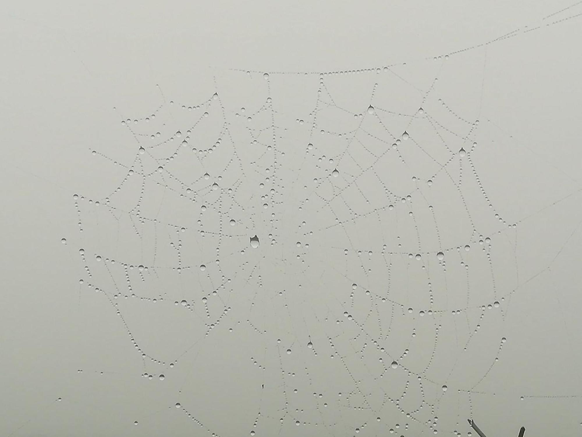 La Pasiega San Roque de Ríomiera Exteriér fotografie