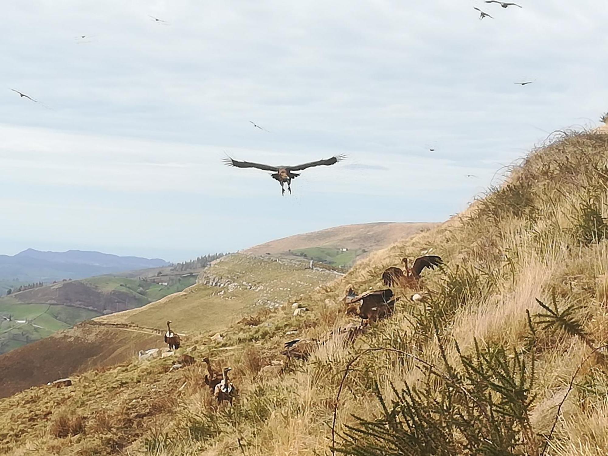La Pasiega San Roque de Ríomiera Exteriér fotografie